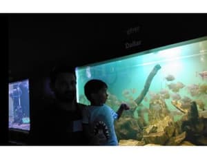 thumbnail: 478235939.jpg