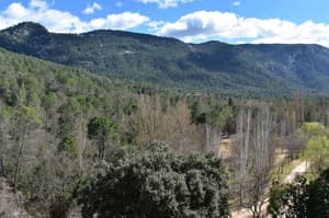 thumbnail: Land view from property