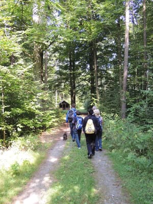 thumbnail: Hiking