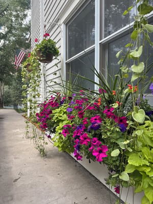 thumbnail: Exterior
