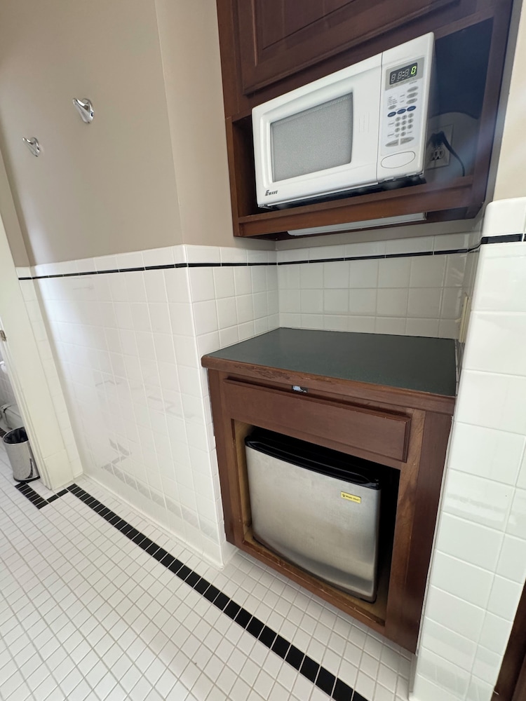 Mini-refrigerator