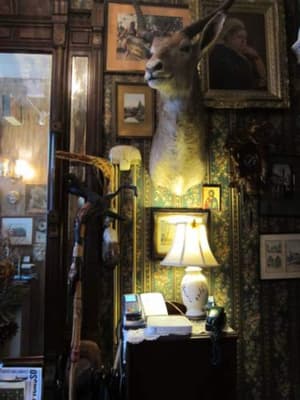 thumbnail: Interior