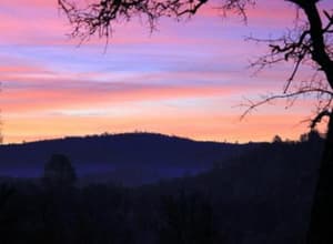 thumbnail: General view