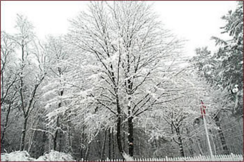 0f495cad4f3f50b48ecb18dd725acc26.jpg