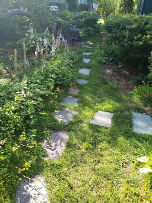 thumbnail: Garden