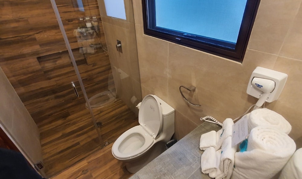 Bathroom shower