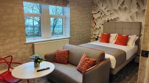 thumbnail: Room