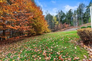 thumbnail: Property grounds