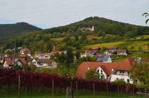 thumbnail: Land view from property