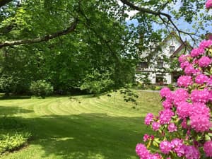 thumbnail: Garden