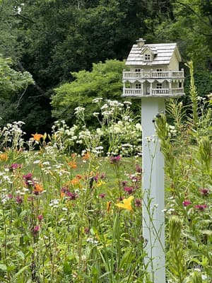 thumbnail: Garden