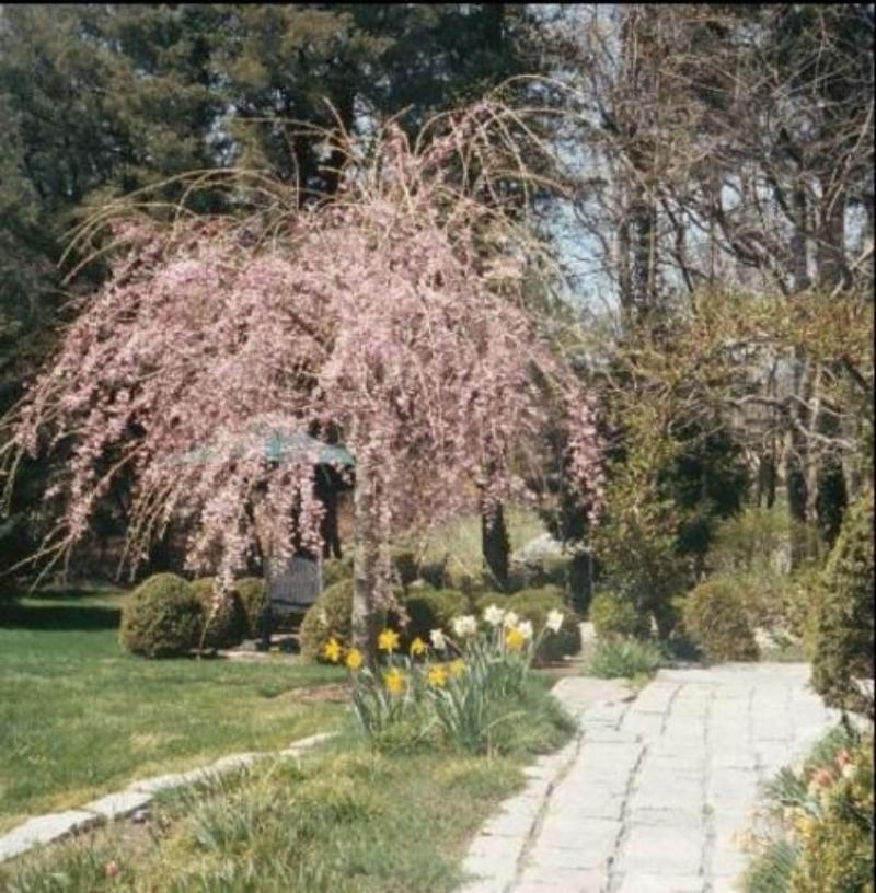 General view