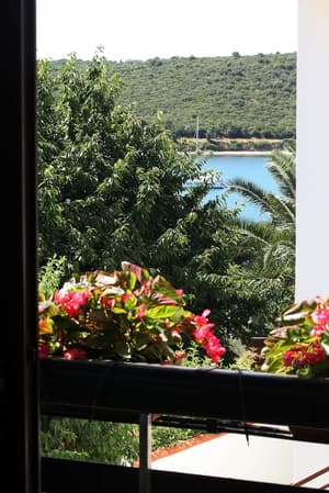 thumbnail: View from property
