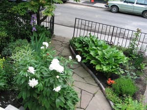 thumbnail: Garden