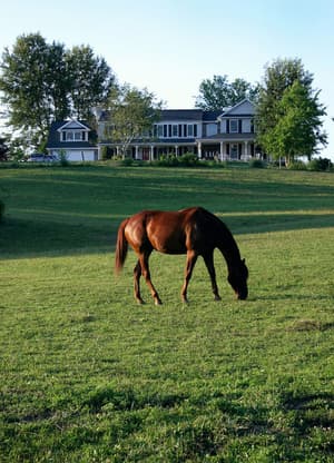 thumbnail: Property grounds
