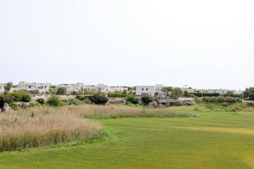 96757515.jpg