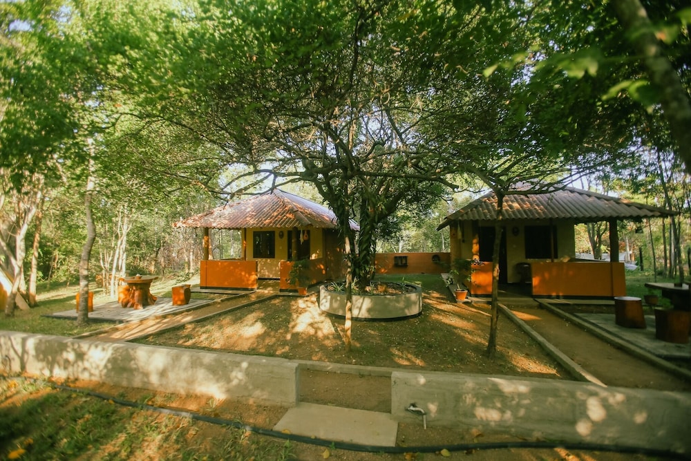 Primary image