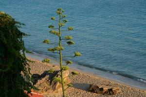 thumbnail: View from property