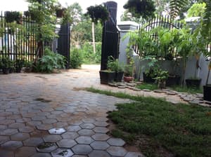 thumbnail: Garden