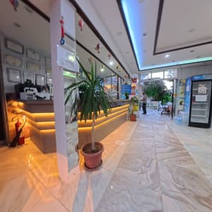 thumbnail: Reception