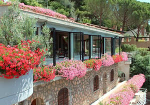 thumbnail: Terrace/patio