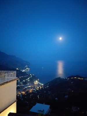 thumbnail: General view