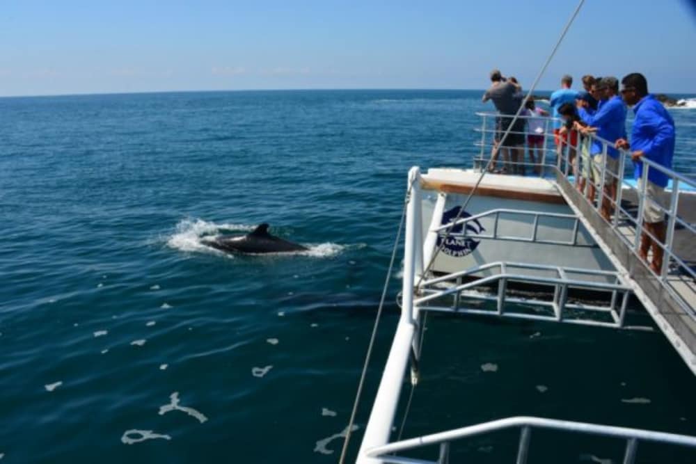 Boating