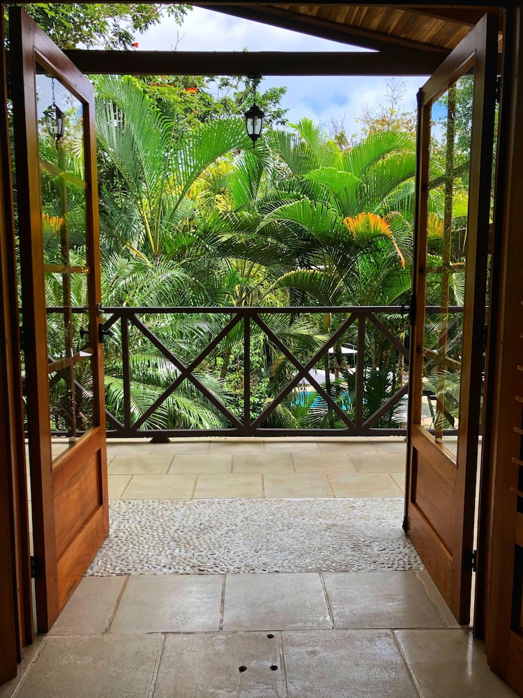 Garden view