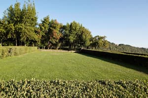 thumbnail: Garden