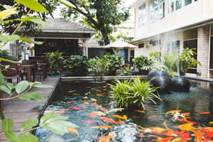 thumbnail: Garden