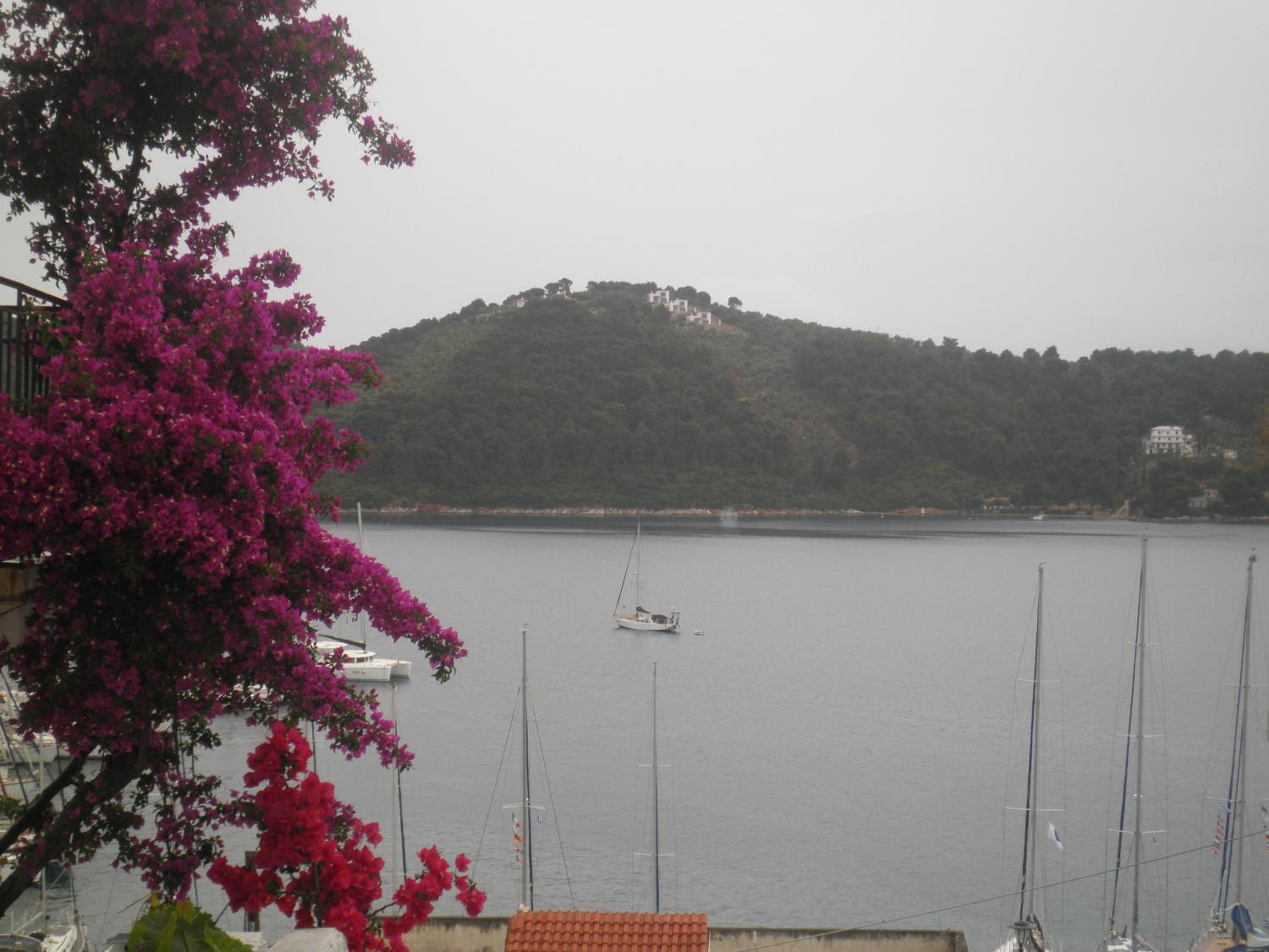 Surroundings