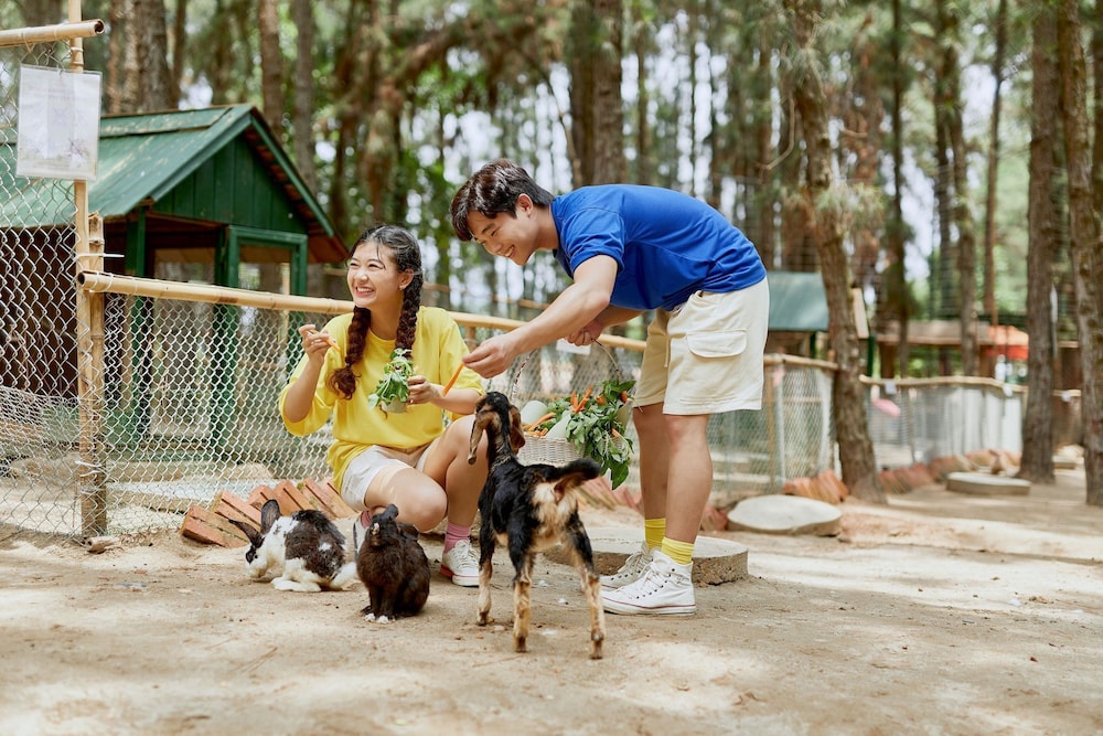 Children's play area - outdoor