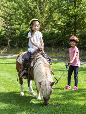 thumbnail: Horseback riding