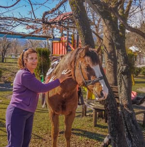 thumbnail: Horseback riding