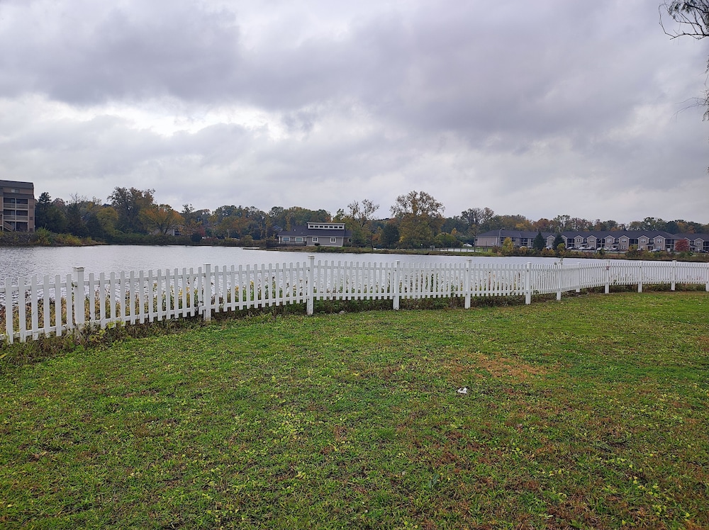 Lake view