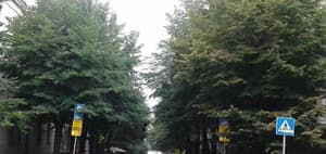 thumbnail: Exterior