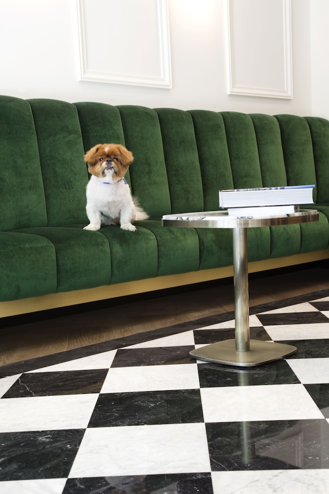 Pet-friendly