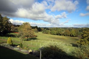 thumbnail: Garden view