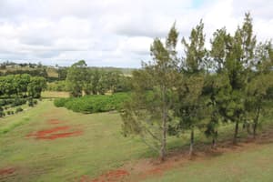 thumbnail: View from property