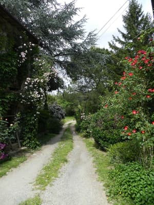 thumbnail: Garden