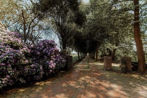 thumbnail: Garden