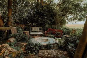 thumbnail: Terrace/patio