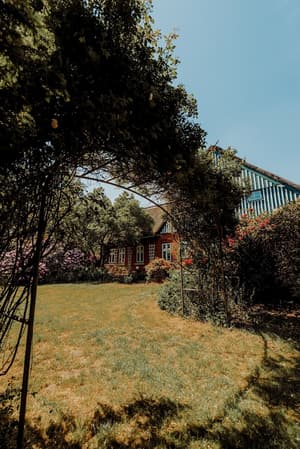 thumbnail: Garden