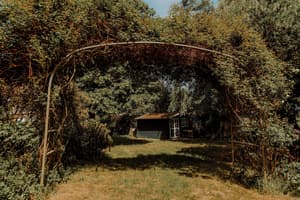 thumbnail: Garden