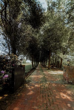 thumbnail: Garden