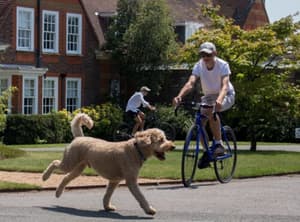 thumbnail: Pet-friendly