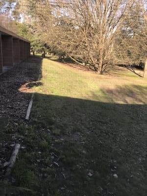 thumbnail: Parking