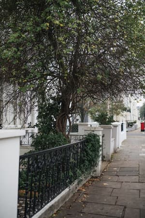 thumbnail: Street view