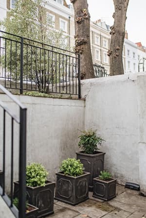 thumbnail: Terrace/patio