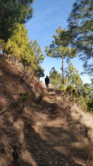 thumbnail: Hiking